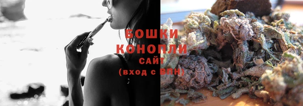 apvp Инта