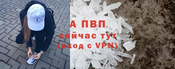 apvp Инта