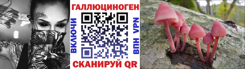 закладка  Ленск  Псилоцибиновые грибы Psilocybine cubensis 
